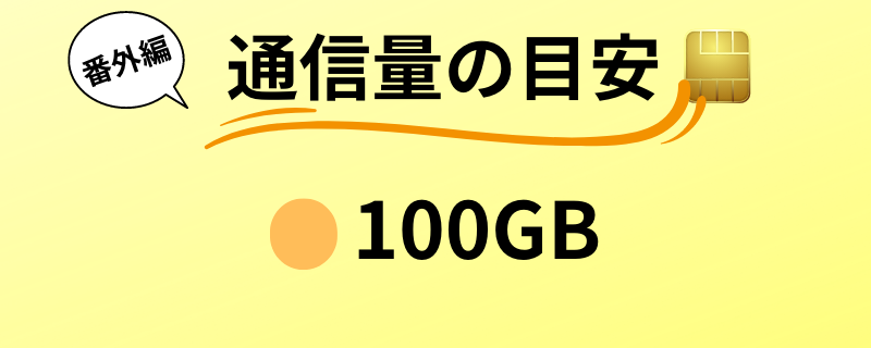 通信量　目安
100GB